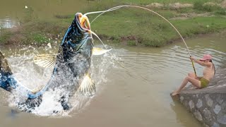 什麼魚塘1000塊錢才能釣10分鐘還只用骨頭？！ 本以為老闆的計畫萬無一失，誰知美女竟直接釣上兩條超大龍躉！【娜小娜愛釣魚】#釣魚 #fishing #drama #funny