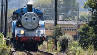 【大井川鐵道】きかんしゃトーマス　２０２１年秋　DAY OUT WITH THOMAS(TM) 2021 \