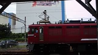 JR貨物　ED76 81[門]　八代駅構内で入れ替え