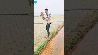 Amazing Boy Catch Big Fish By Teta In Water Drain 🥰 Catching Fish By Teta (part -19) #best #drain