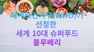 세계보건기구(WHO)가 선정한 세계 10대 슈퍼푸드 블루베리