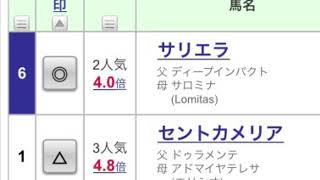 【競馬予想／ローズステークス】2022年9月18日中京11レース　ローズステークス◎サリエラ【ここは通過点】3連複1頭軸10点、3連単１着固定20点、合計30点で勝負！