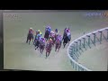 20230212 154620今日の動画は東京11レース共同通信杯父ハービンジャー産駒ファントムシーフ結果