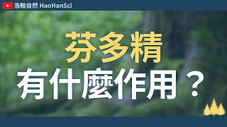 浩翰自然｜大自然芬多精 #萊納德效應【心理學效應】