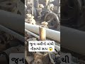 જુના મશીનો માંથી નીકળ્યો સાપ 😱 trending viral reels funny