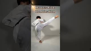 Hawk's Kick Combination Tutorial｜Cobra Kai