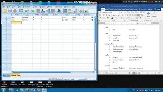 คีย์ข้อมูลแบบสอบถามลง spss thesis DD