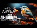 Surah Ar-Rahman سورة الرحمن  Most Beautiful Recitation @AaoQuranSeekhein