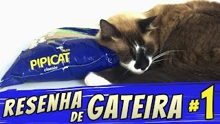 RESENHA DE GATEIRA #1 | Areia Pipicat