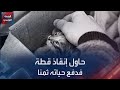 نهاية مأساوية لشاب تونسي حاول إنقاذ قطّة