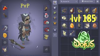 Dofus 3 : Le Sadida 18x PvP qui va tout écraser dofus maroc.