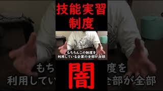 技能実習制度の闇 #Shorts