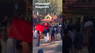 payatiyal bhagavati temple mavicheri  #theyyam മുടിവേകൽ