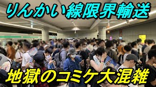 【来場者26万人】日本一過酷なイベントに参加するとこうなります！（2023年8月12日撮影C102）