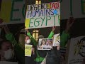 egypt harasses dissidents living abroad