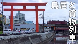 【4K】【鳥居と貨物列車】ED76牽引4071・4075レ日豊本線祓川橋梁 通過シーン