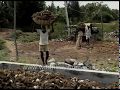 Manufacturing coconut ropes out of coconut husk in India