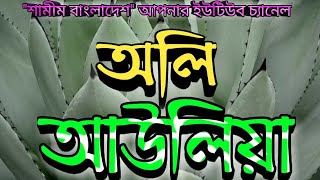 অলি আল্লাহর বাংলাদেশ || Oli allahor Bangladesh || ইতিহাস সৃষ্টিকারী গজল || Bangla gojol 2021