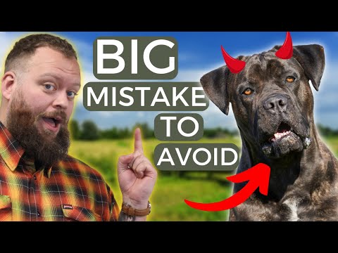 Dog Owners Make Mistakes; Here's How To Avoid Them. [Complete Guide]