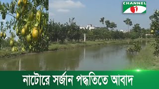 নাটোরে সর্জান পদ্ধতিতে আবাদ করে সফল কৃষি উদ্যোক্তা | Channel i News