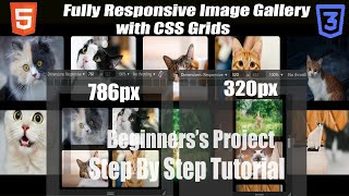 Responsive Image Gallery using CSS Grid | HTML & CSS Project for Beginners | Step-by-Step Tutorial