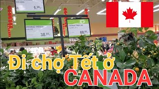 Không khí chợ ngày 24 Tết ở thủ đô Canada: Chả thiếu gì!