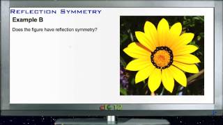 Reflection Symmetry: Examples (Basic Geometry Concepts)