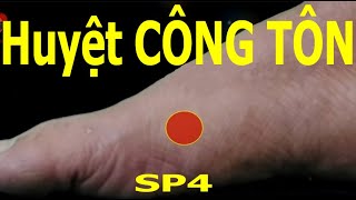 SP4 | Huyệt Công tôn | Kinh Túc thái âm tỳ | Acupoint VIKUDO