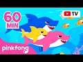 Baby Shark Dance More and More | Doo Doo Doo 60 Min | Baby Shark Non-Stop | Pinkfong Songs for Kids