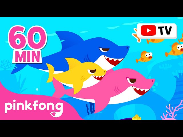 Baby Shark Dance More And More Doo Doo Doo 60 Min Baby Shark Non