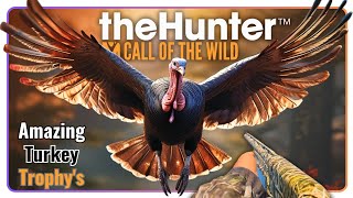 HUNT Turkey LIKE A PRO in Silver Ridge Peaks with 20 Gauge and .22! COTW