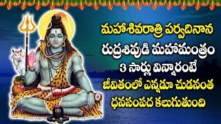 శివరాత్రి పర్వదినాన రుద్రశివుడి పాట వింటే మీకు ఎన్నడూ లేనంత ధనసంపదలు కలుగుతాయి | Lord Siva Ashtakam