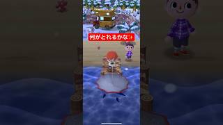 【ポケ森】レア魚GETチャレンジ part2