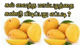 கல் வைத்த மாம்பழத்தை எப்படி கண்டு பிடிப்பது/Sakthi Takies