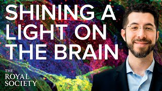 Shining a light on the brain | The Royal Society