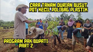 🟠🟠PART 2 ✅️PROGRAM PAK BUPATI‼️CARA TANAM DURIAN BUSUT POT POLIBAG KECIL 💯🌳