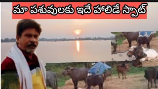 #farmer//ఇలా చేయడం వలన ఎన్నో రోగాలు నయం అవుతాయి