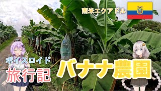 【ボイロ実況】ボイスロイド旅行記Vol.34 バナナ農園見学編