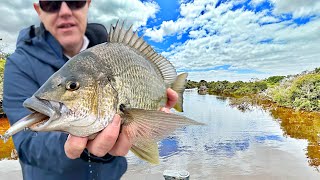 These fish have NEVER seen a lure before! DEEP SOUTH Pilgrimage