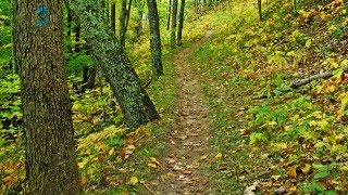 Virtual Tours 4K: Deer Grove Forest Preserve (Chicago)