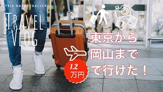 [Teshima \u0026 Shodoshima Travel Vlog #1] I was able to fly from Tokyo to Okayama on JAL for 12,000 yen!