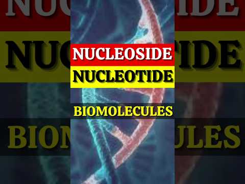 Nucleoside & Nucleotide/Biomolecule/Organic chemistry#shorts