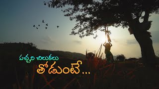 Pachani Chilukalu Cover Song || Bharateeyudu Movie ||