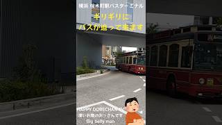 #shorts #youtubeshorts #YouTube #Live #TV #Japan #Japanese #BUS