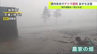 北海道各地で\