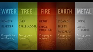 The Healing Power Of The Five Elements