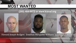Tuscaloosa's Most Wanted: March 3, 2021