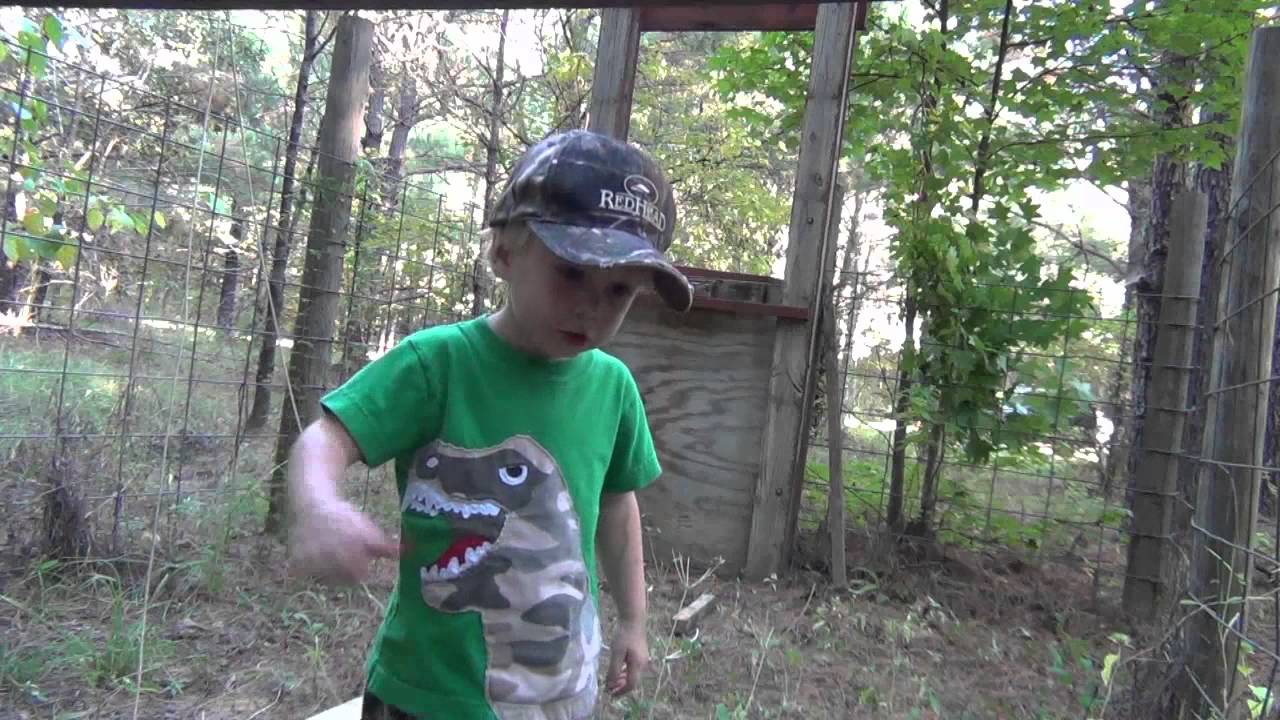 Hog Trap Door Trigger Design Talk