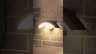 Modern simple LED fan-shaped outdoor wall light