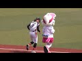 美人すぎる女子プロ野球選手加藤優さんの始球式にズーちゃんもメロメロ♪